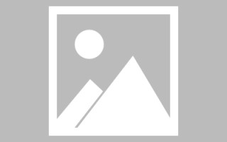 莱阳关于网站建设免费（关于网站建设免费的通知）